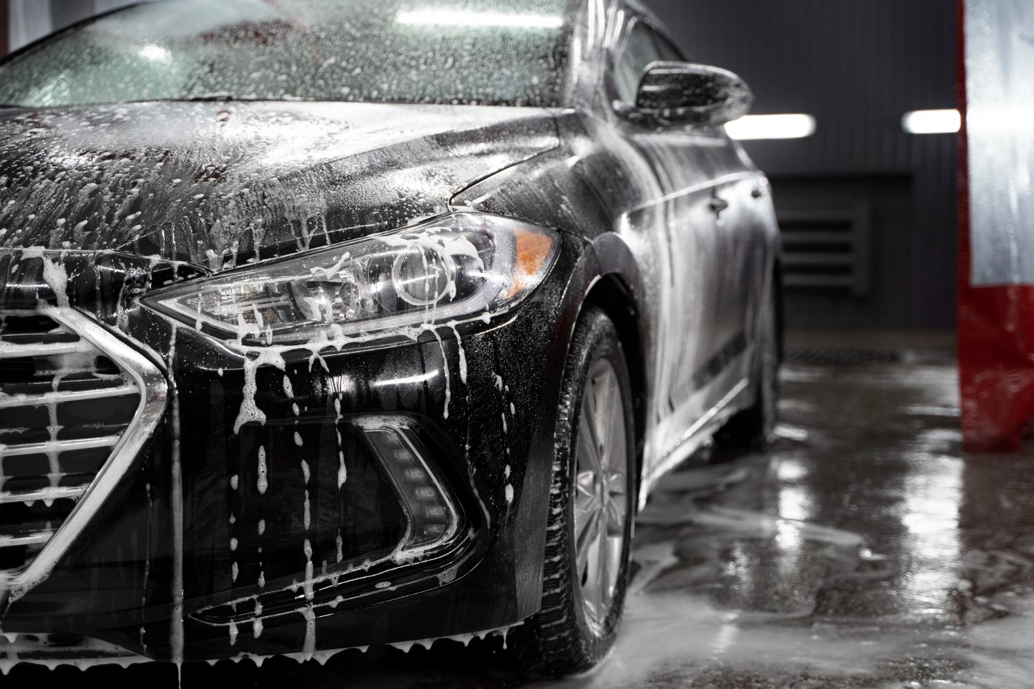 Professional car wash and detailing